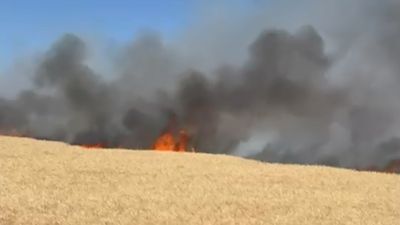 Ankara'da buğday tarlasında yangın
