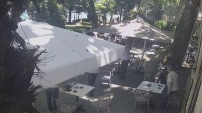Kocaeli'den çınardan kopan dal can aldı