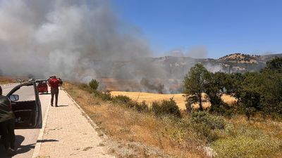 Kütahya'da biçerdöver nedeniyle çıkan yangında, 2,5 dekar ekili alan zarar gördü