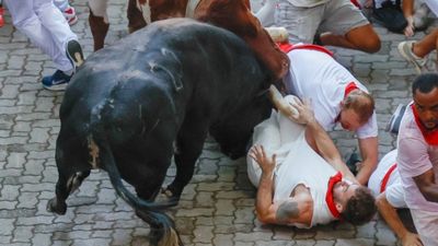 İspanya'da boğa koşularında 8 kişi yaralandı