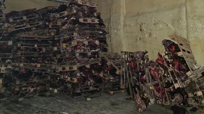 Bursa'da sağlıksız et deposu ortaya çıktı