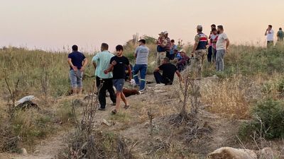 Hatay'da dereden su içen 64 küçükbaş hayvan telef oldu