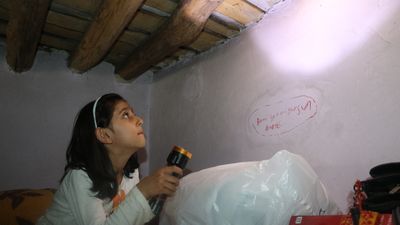 Hakkari'de tek katlı evde yılan paniği