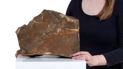 Taş deyip geçmeyin! Bu taş tamı tamına 160 milyon ediyor