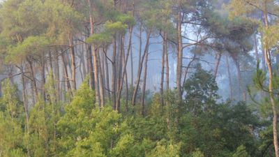 Bayırbucak’taki Türkmen köylerinde orman yangınları sürüyor: İHH destekte