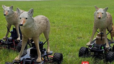 Robot çakallar, ABD askeri havaalanlarını korumaya başladı