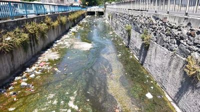 İstanbul'da Galata Deresi çöple doldu: Mahalleli tepki gösterdi