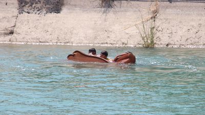 Adana’da korkutan görüntüler: Çocuklar kanalda eski koltukla yüzmeye çalıştı
