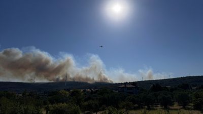 İzmir'de orman yangını