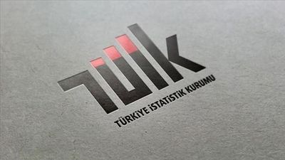 TÜİK paylaştı: Türkiye'de geçen yıl yaklaşık 2,7 milyon kişi iller arasında göç etti