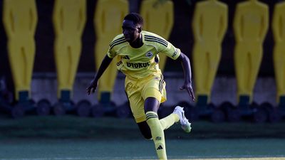 Vize engeli! Fenerbahçe'nin yeni transferi kampa katılamadı