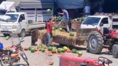 Sakarya'da karpuzları yere atıp parçalayan üreticiler hakkında, işlem başlatıldı
