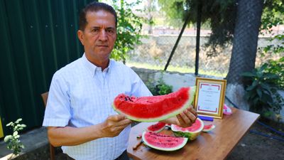 Adana'dan Diyarbakır karpuzu iddialarına tepki: Karpuzun markası biziz