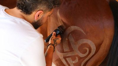 Mersinli berber, mesai saatlerinin dışında at tıraşında