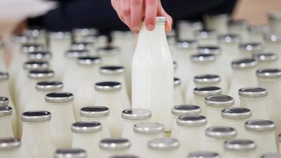 Çiğ inek sütü tavsiye satış fiyatı belirlendi