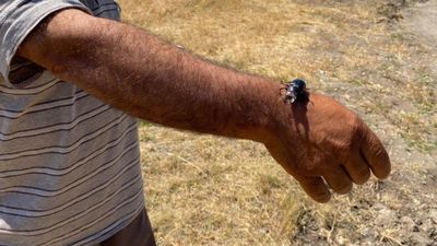 Öldürmenin cezası 557 bin TL: Duyan elini bile sürmüyor...