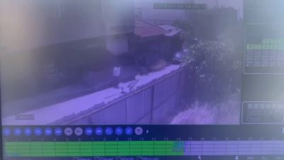 İstanbul'da sokakta yürürken sırtından vuruldu: Hayatını kaybetti