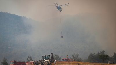 Sakarya'da başlayan orman yangınında alevler Bilecik'e ulaştı