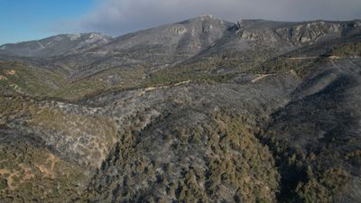 Sakarya'da yanan alanlar havadan görüntülendi