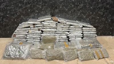 İstanbul Esenyurt'ta 144 kilogram skunk ele geçirildi