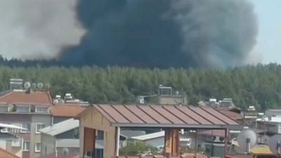 İzmir’de orman yangını