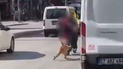 Gaziantep'te motosikletin arkasına bağladıkları köpeği sürüklediler