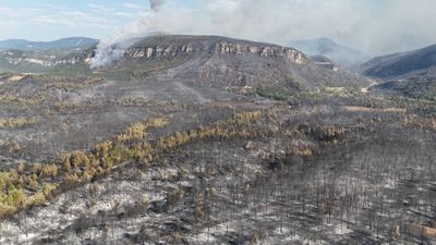 Karabük'te yanan alanlar havadan görüntülendi