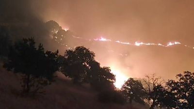 Manisa'da bir orman yangını daha çıktı: Ekipler alevlerle mücadele ediyor