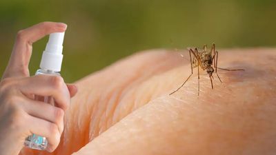 Bu kokuyu kullanan sivrisinek kabusundan kurtuluyor! Sinek ilacına gerek kalmıyor