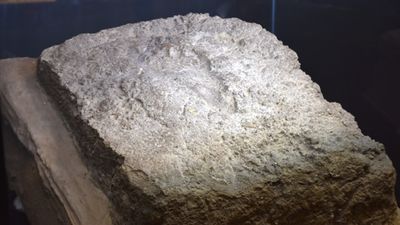 Urartu kadınının 2 bin 800 yıllık ayak izi, ziyaretçilerle buluştu