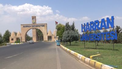 Şanlıurfa'da üniversitedeki başıboş köpekler koruma altındaki ceylanları parçaladı