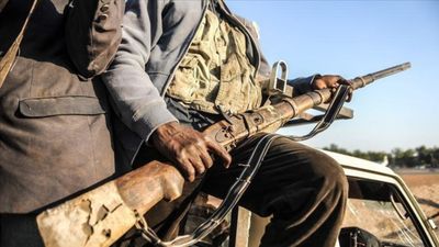Nijerya'da çete operasyonu: 45 terörist öldürüldü