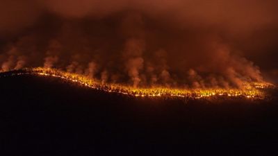 Bursa Harmancık'taki orman yangınına etkin müdahale sürüyor