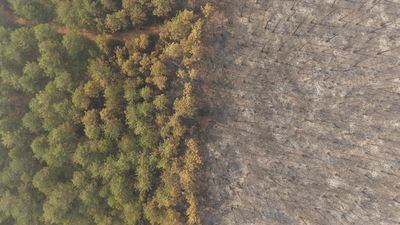 Bursa'daki orman yangını 4. gününde sürerken, yanan alanlar havadan görüntülendi