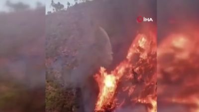 Portekiz'de 3 büyük orman yangınına müdahale sürüyor