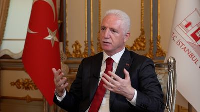 Davut Gül: Sahipsiz sokak hayvanları 2025 yılı sonunda gündemden çıkacak