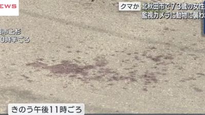 Japonya'da 73 yaşındaki kadına ayı saldırdı