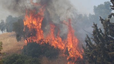 Aydın'da havaya ateş açtılar: Kuru otların tutuşmasıyla yangın çıktı