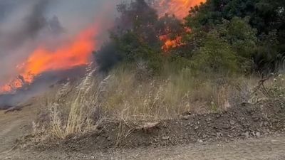 Tekirdağ'da sabah söndürülen yangın, yeniden başladı