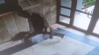İstanbul'da kediye eziyet eden şahıs yakalandı