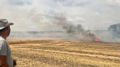Tekirdağ'da çıkan yangın yerleşim alanlarına yaklaşınca panik yaşandı
