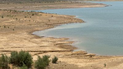 Bodrum'da barajların doluluk oranları düştü