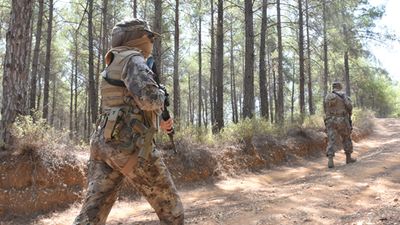 Antalya'da PÖH timleri, orman yangınlarına karşı sahada