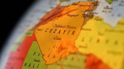 Cezayir'de keşif uçağı düştü: 4 kişi öldü