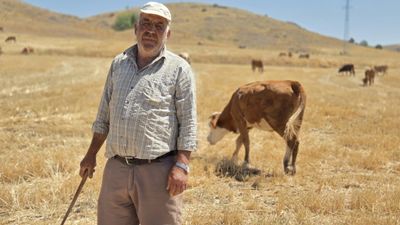 Yozgat'ta çobanlık yaparak sağlığını koruyor