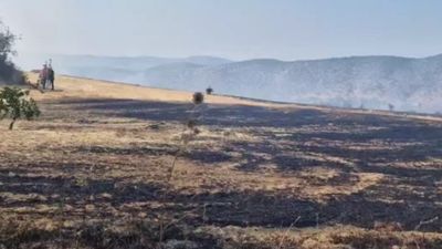 Karabük'te çıkan anız yangınında son durum: Kontrol altına alındı