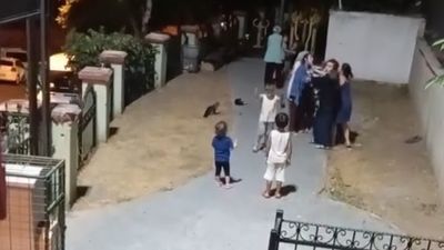 İstanbul'da parkta çocuklar arasındaki kavgaya anneler de dahil oldu
