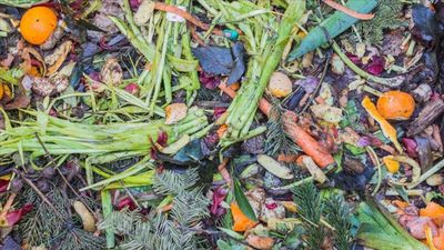 Sıfır Atık Vakfı: İsrafın maliyeti 100 milyar lira