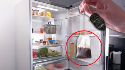 Buzdolabına poşet çay koyun, farkı görün! Bu hileyi ev hanımları biliyor