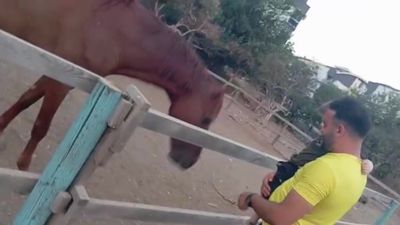 Antalya'da at, babasının kucağındaki çocuğu ısırarak alıp havaya fırlattı
